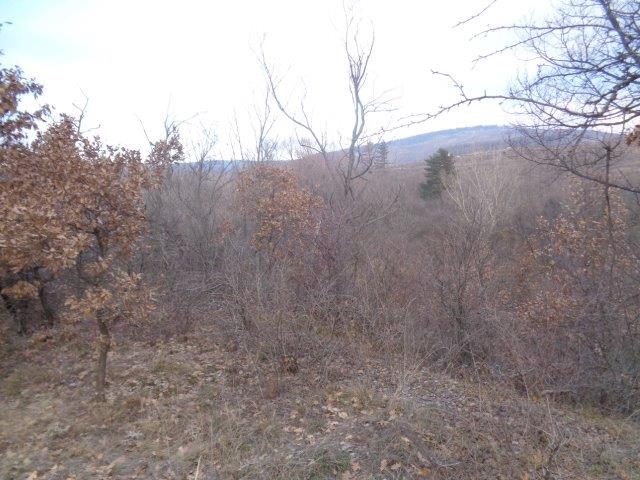 Земеделска земя Елшица