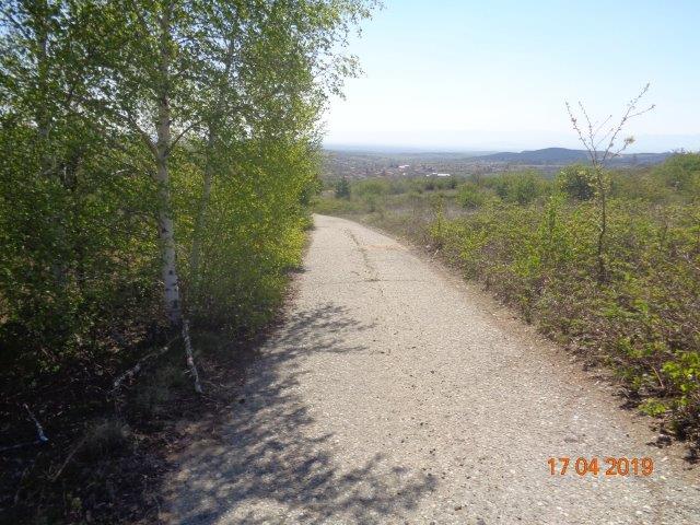 Земеделска земя Елшица