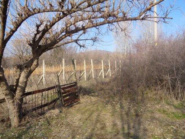 Земеделска земя Елшица