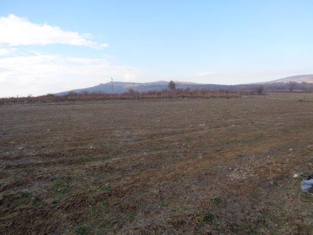 Земеделска земя Елшица