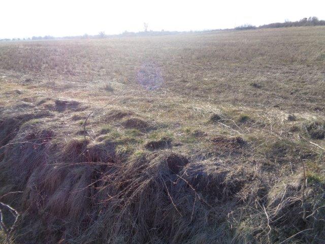 Земеделска земя Елшица