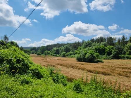 Парцел Каран Върбовка