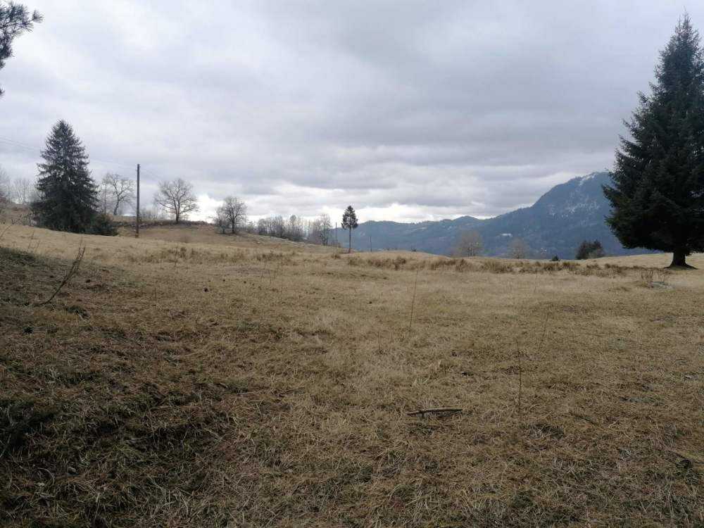 Земеделска земя Смолян