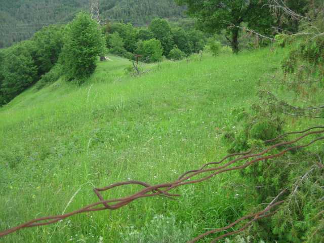 Земеделска земя Бориново