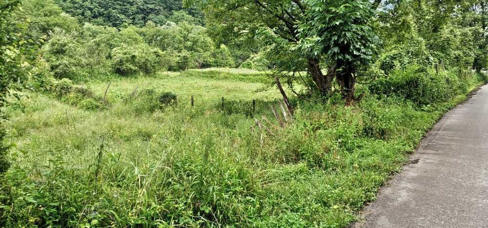 Парцел Черни Осъм