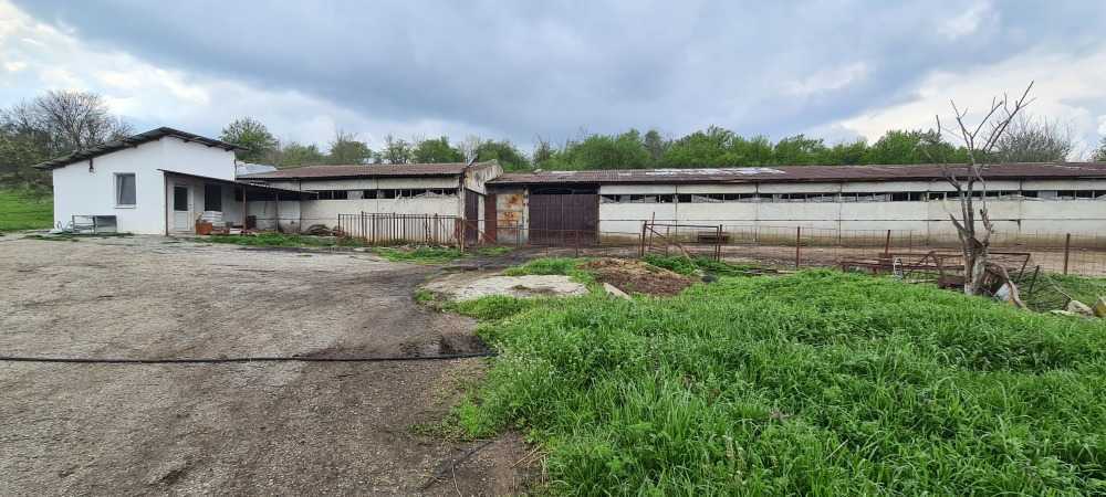 Други Къпиново