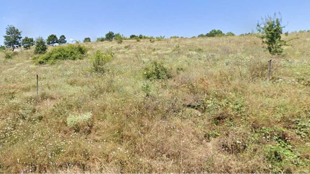 Земеделска земя Сливово