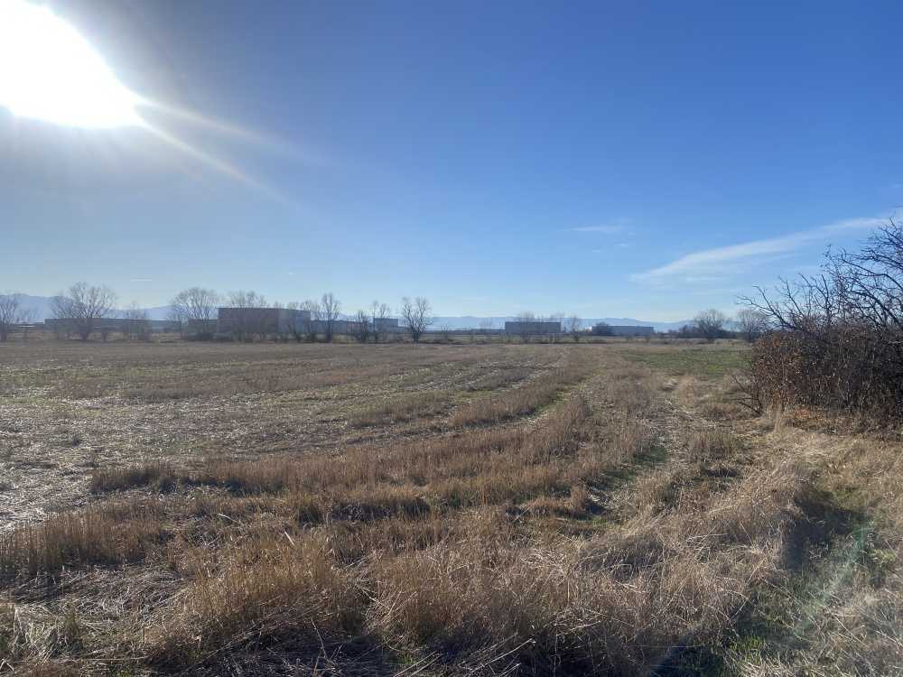 Земеделска земя Царацово