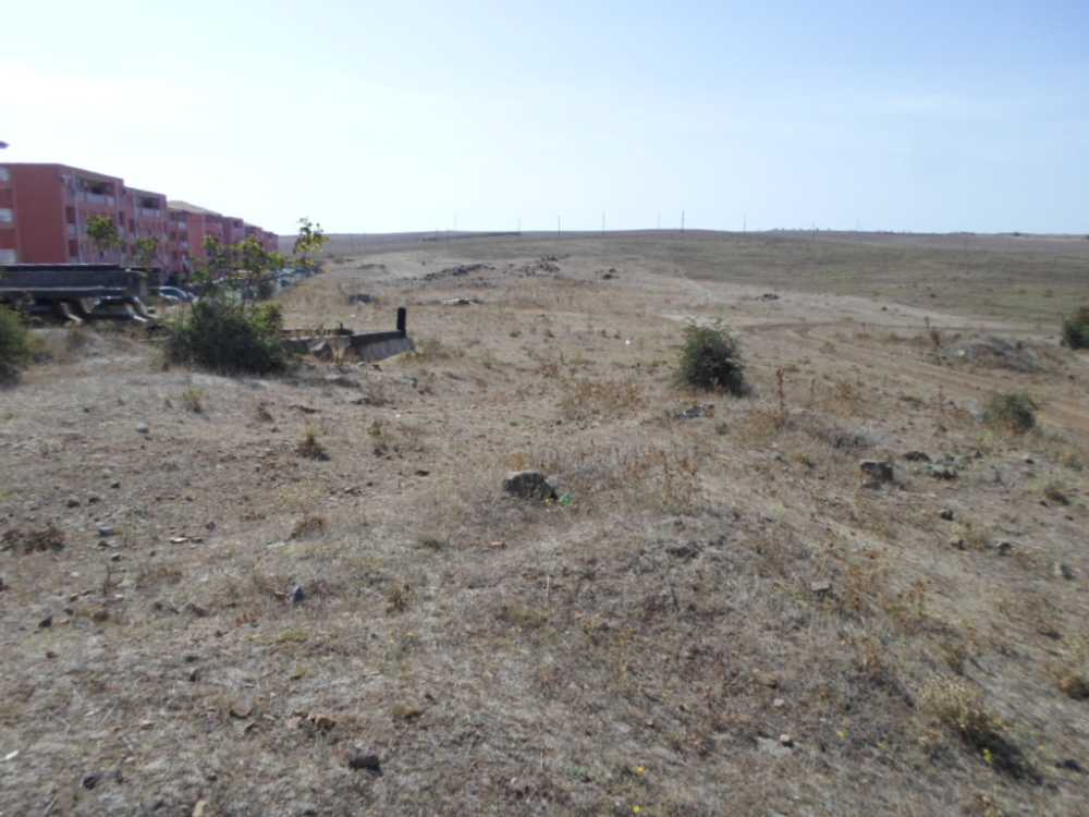 Земеделска земя Тънково