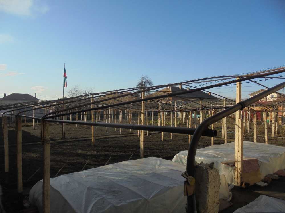 Къща с парцел Цалапица