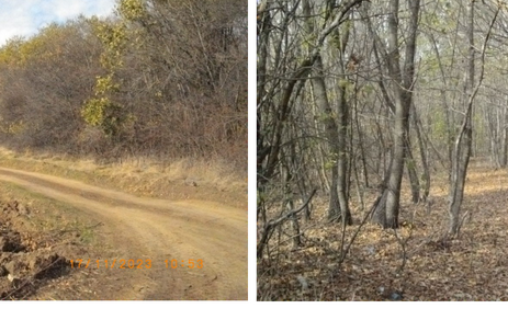 Парцел Изворско