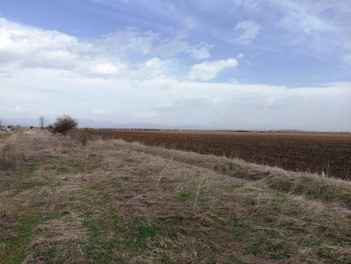 Земеделска земя Голям чардак