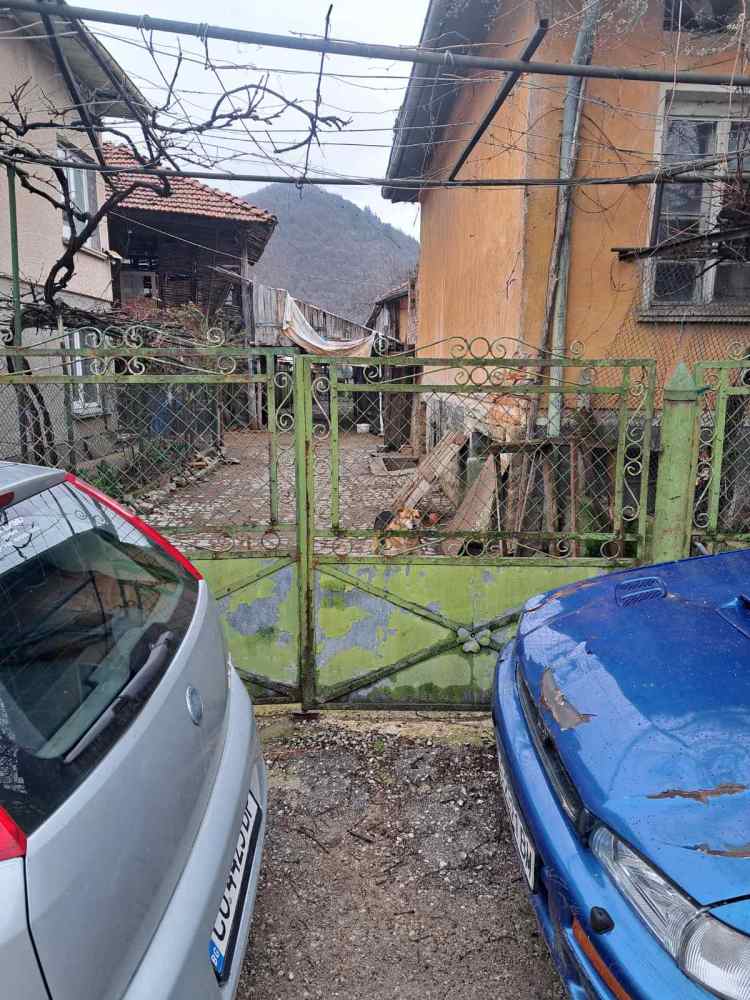 Парцел с къща в Врачеш