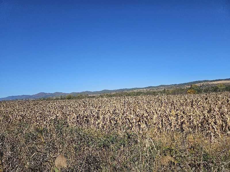 Земеделски имот Горна Василица