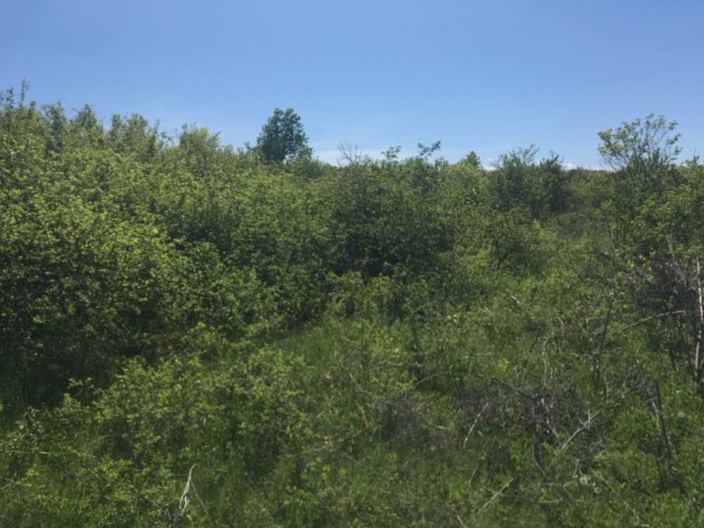 Земеделска земя Татарево