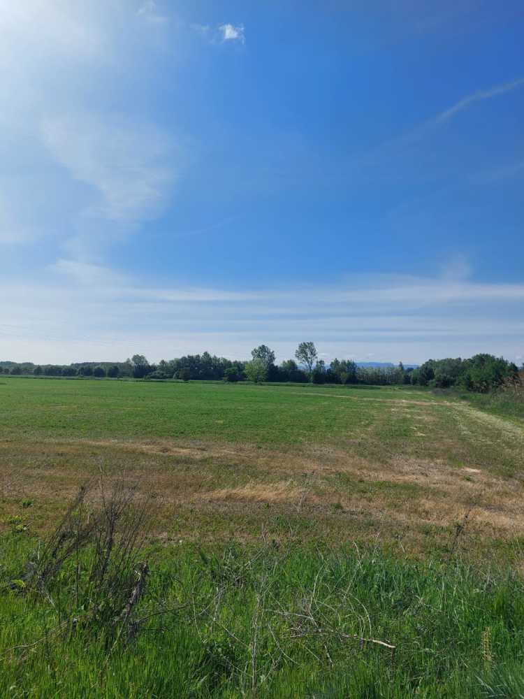 Земеделска земя Стряма