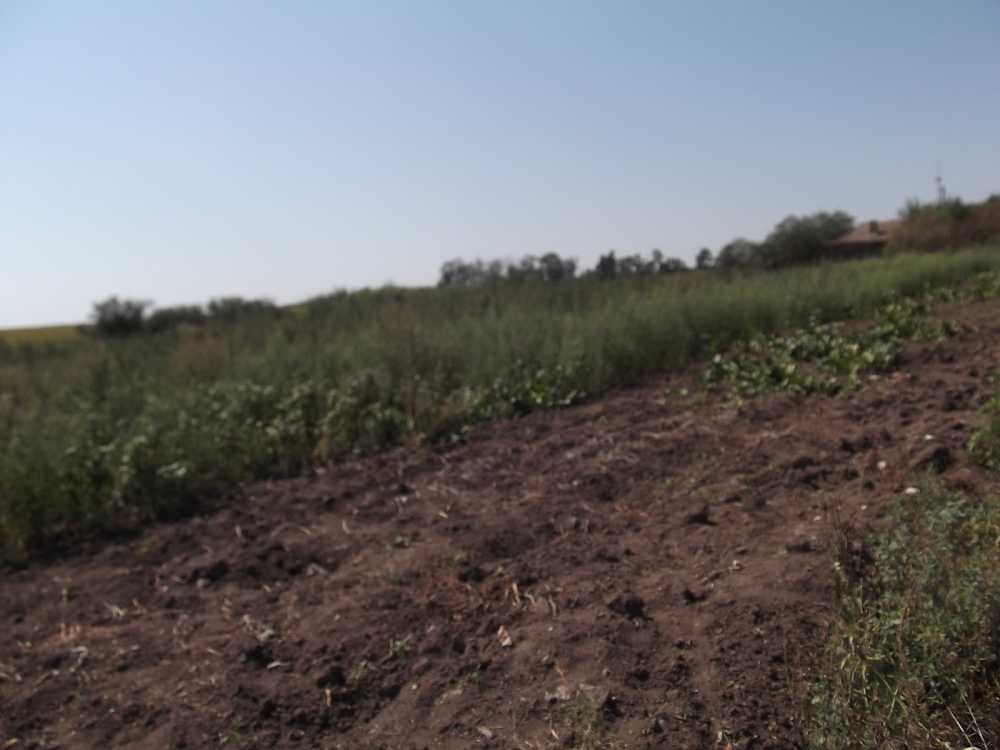 Парцел Змеево