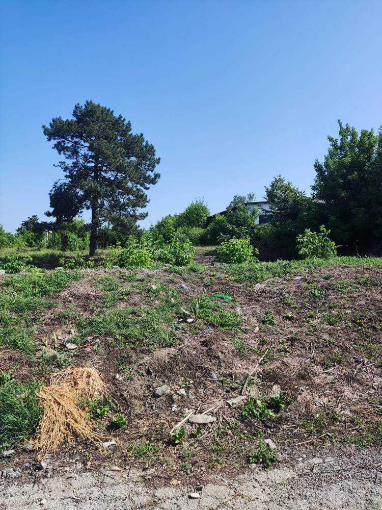 Парцел Орляк