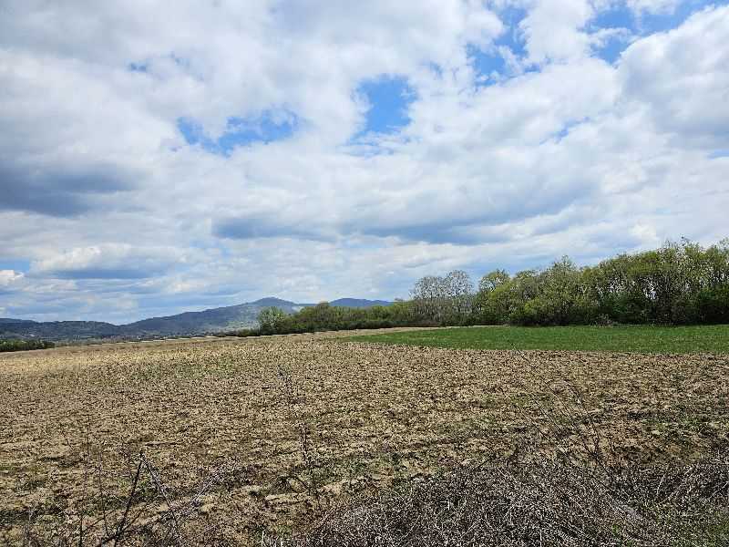 Земеделска земя Гурково