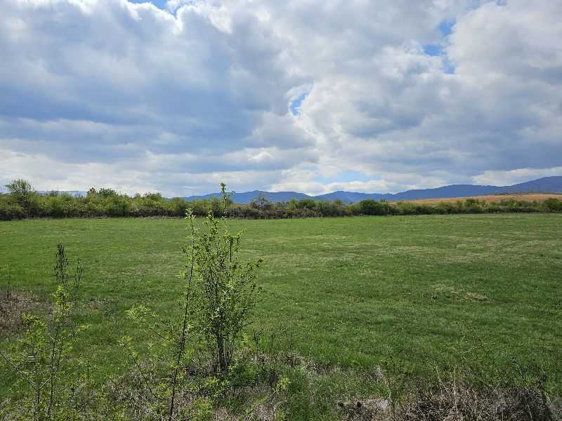 Земеделска земя Гурково