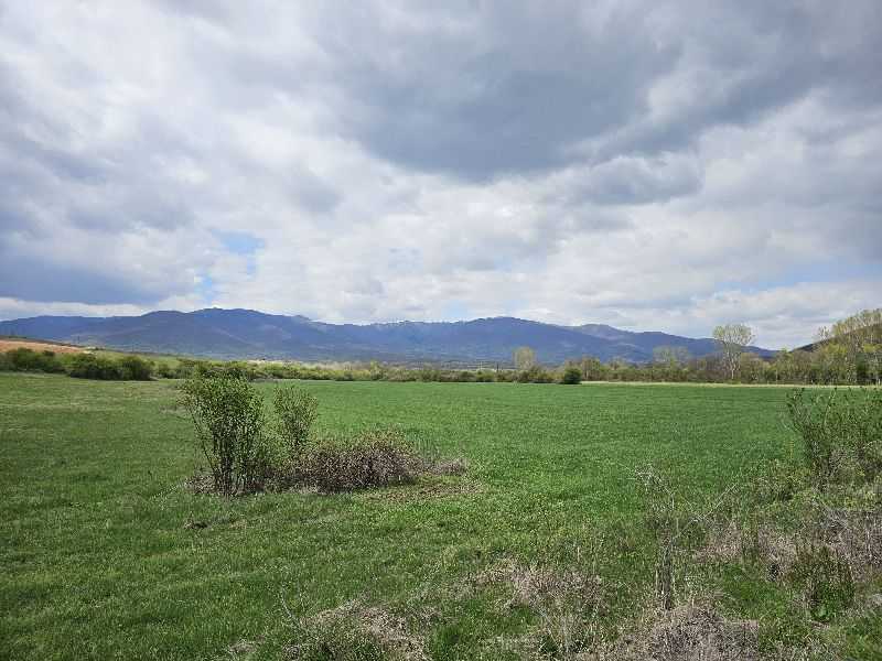 Земеделска земя Гурково