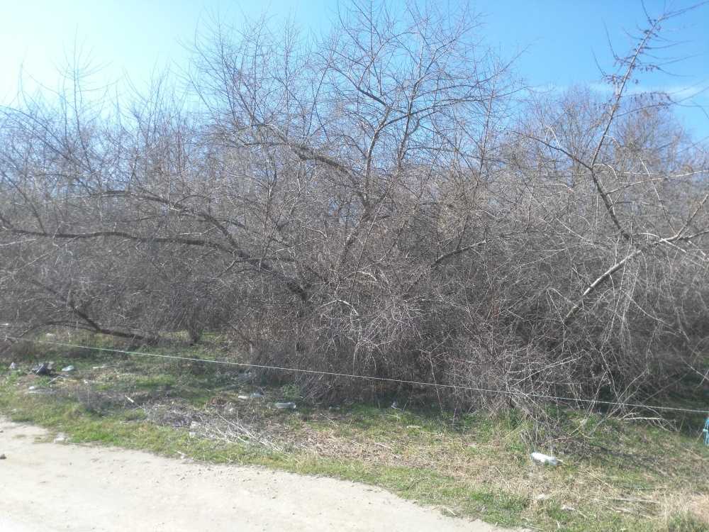 Парцел Кранево