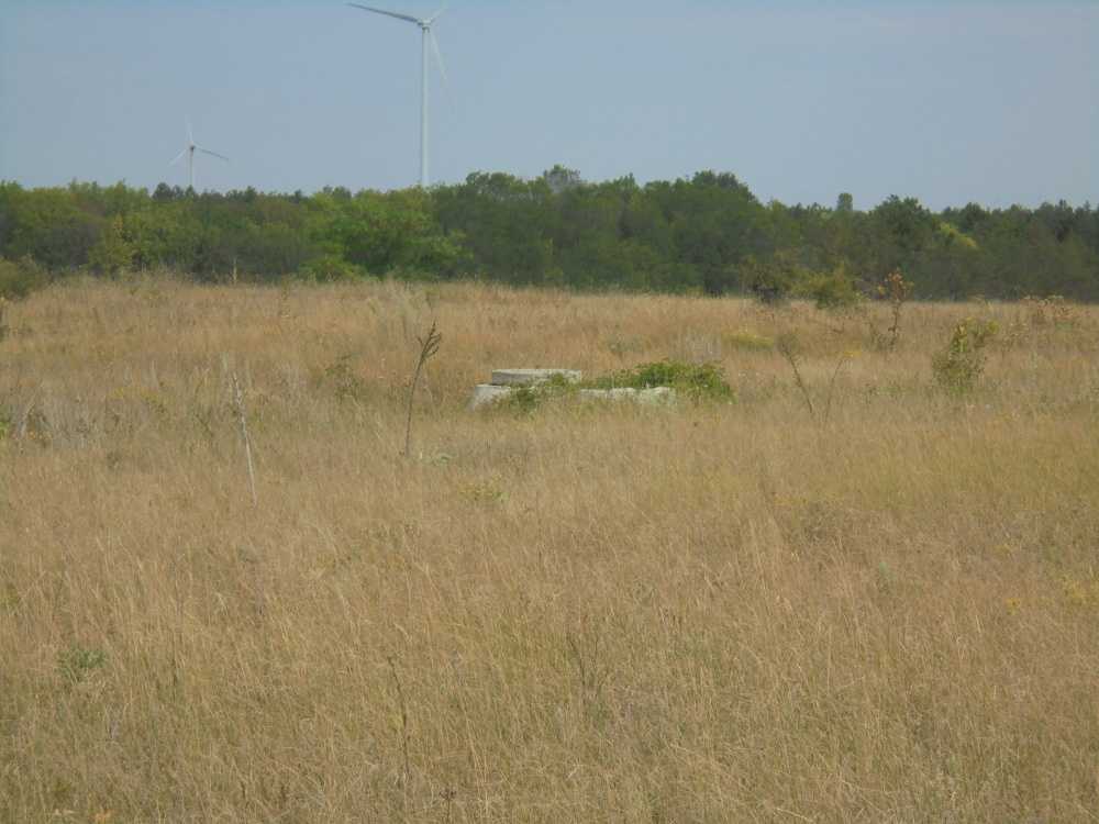 Парцел Божурец