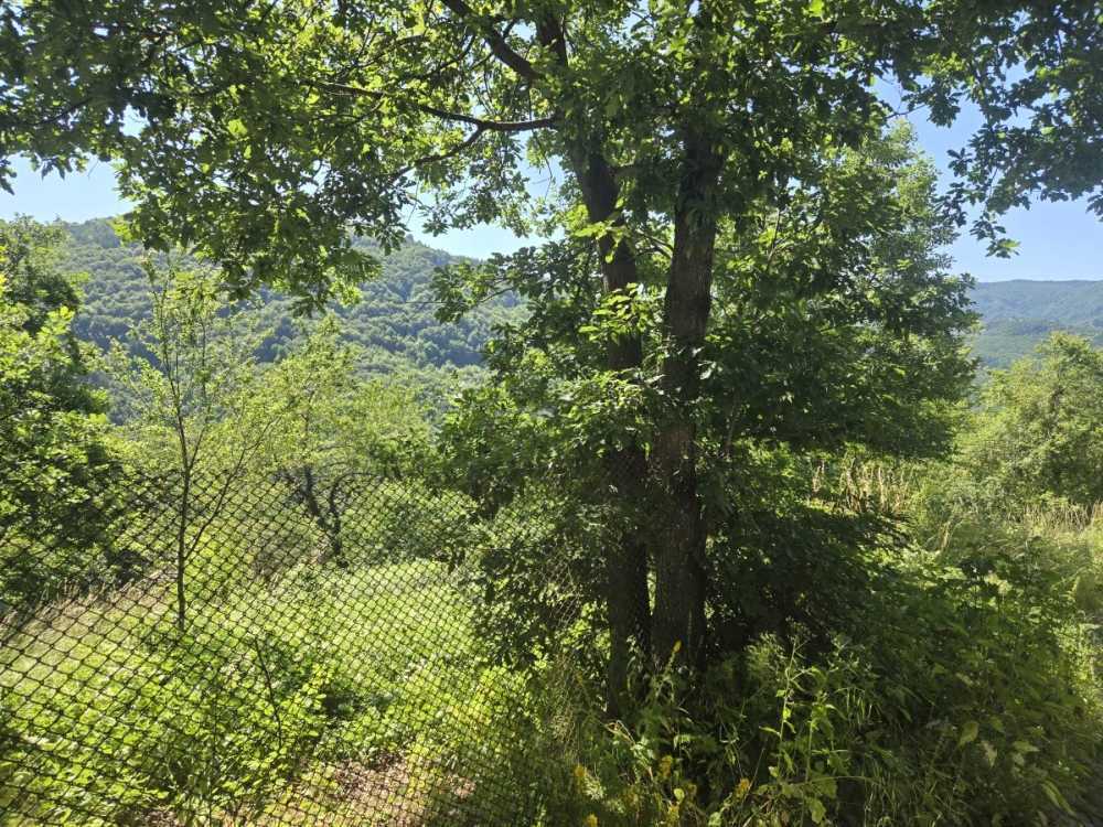 Земеделска земя Врата