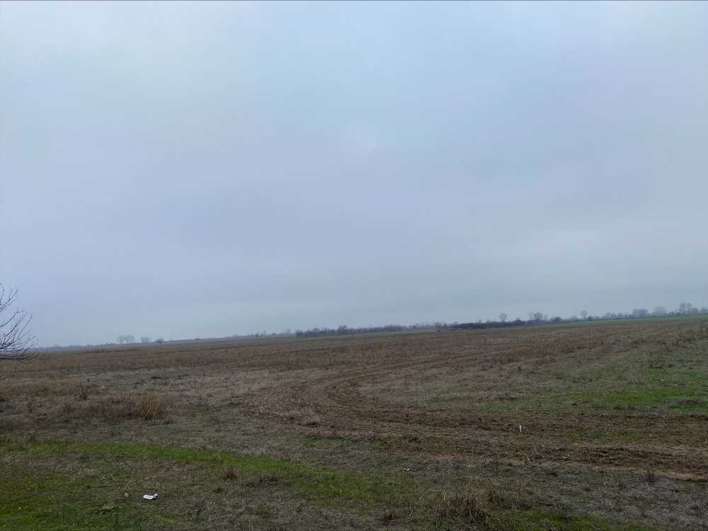 Земеделска земя Ръжево Конаре