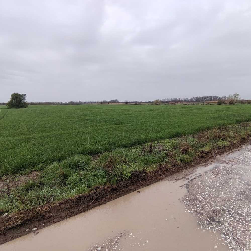 Земеделска земя Белащица