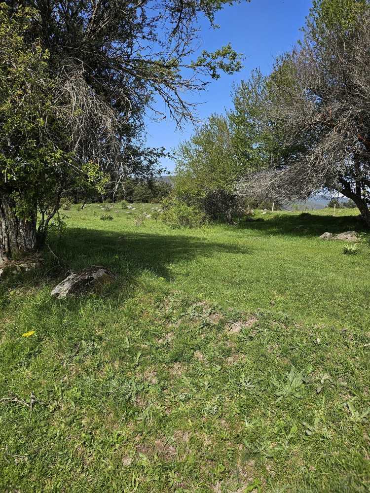 Земеделски имот Доспат