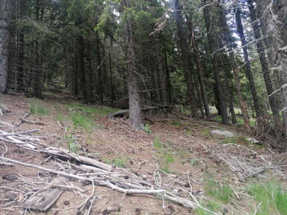 Земеделска земя Момчиловци