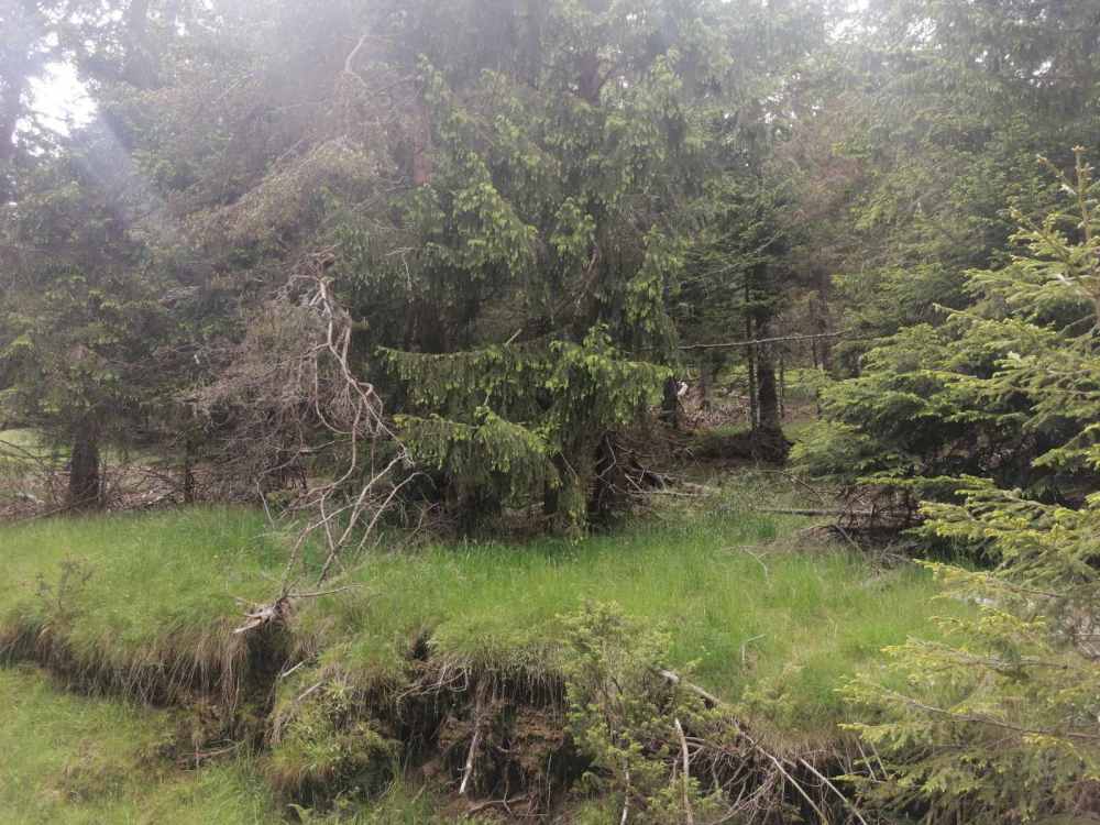 Земеделска земя Момчиловци