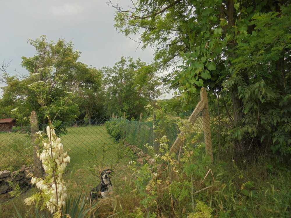 Парцел Видно