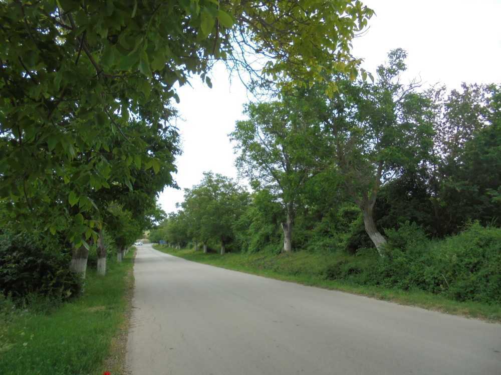 Земеделска земя Рогачево