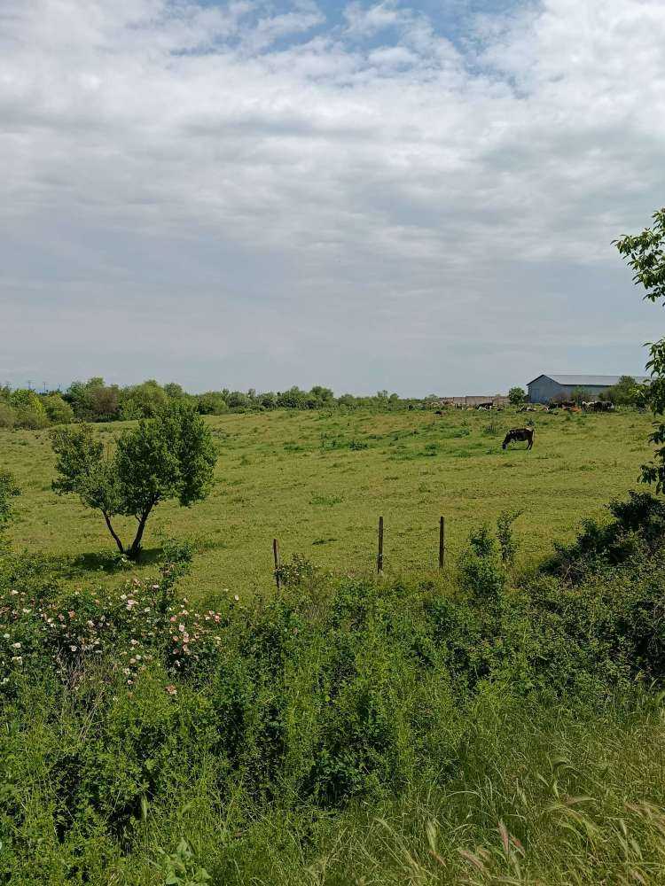 Други Загоре