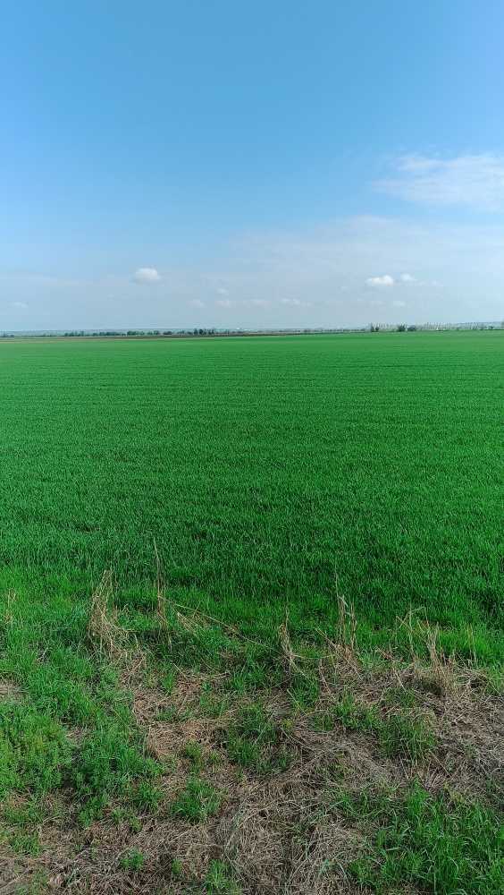 Земеделска земя Избеглии