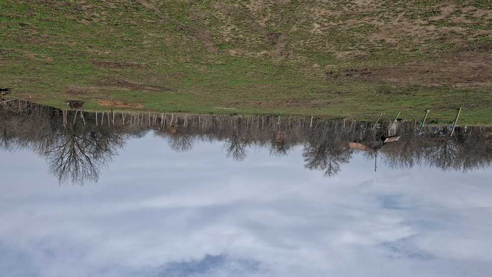 Парцел с къща Хасково