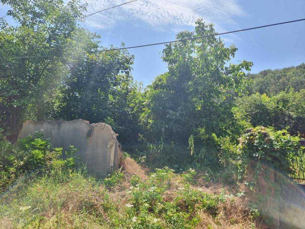 Парцел с къща Сваленик