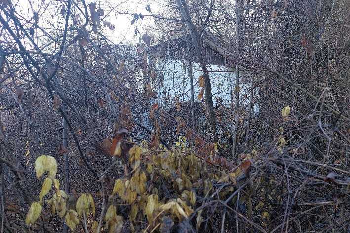 Парцел с къща Цар Калоян