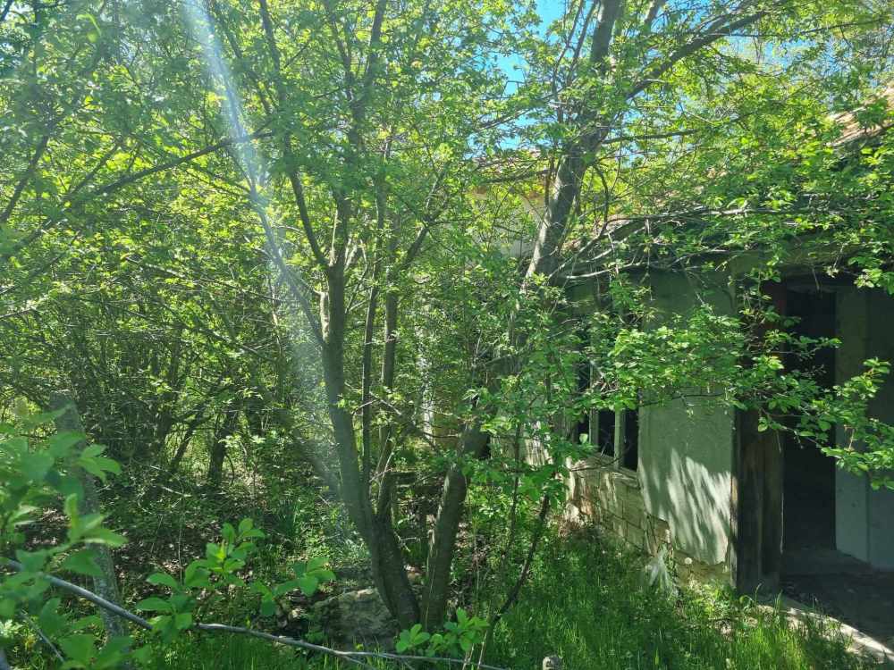 Парцел с къща Изворник