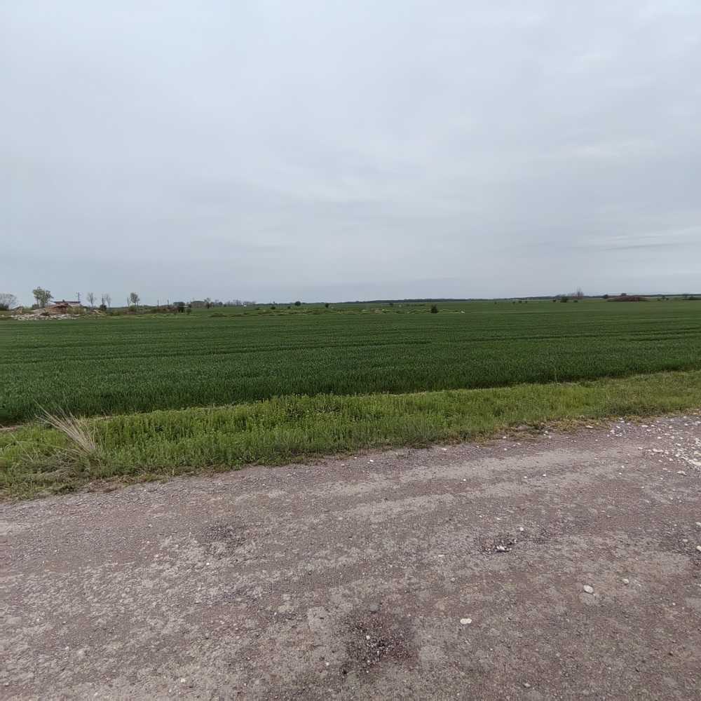 Земеделска земя Раковски