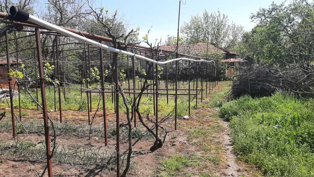 Парцел с къща Хасково