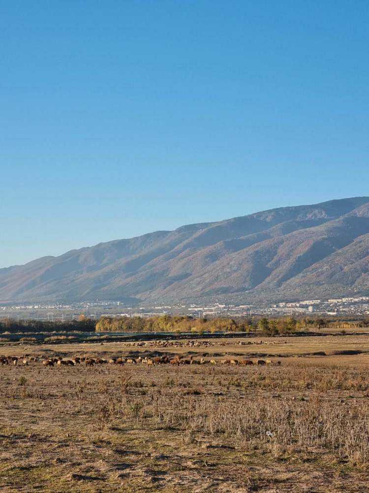 Земеделска земя Соколица