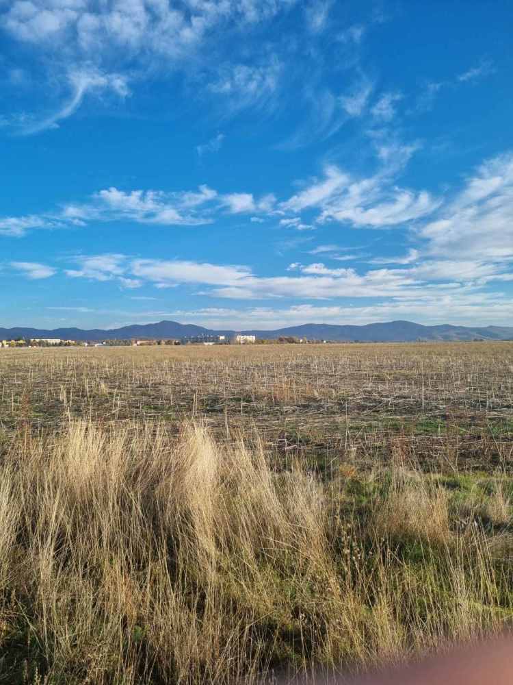 Земеделска земя Марино поле