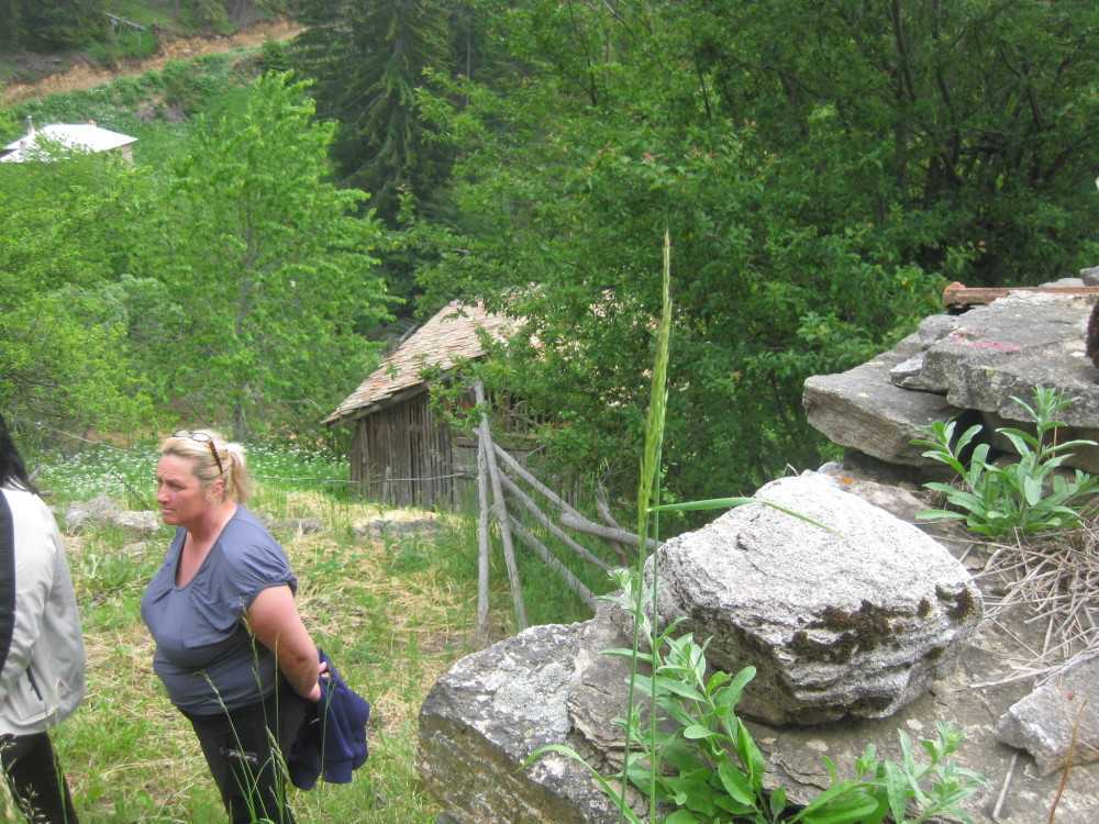 Парцел Зорница