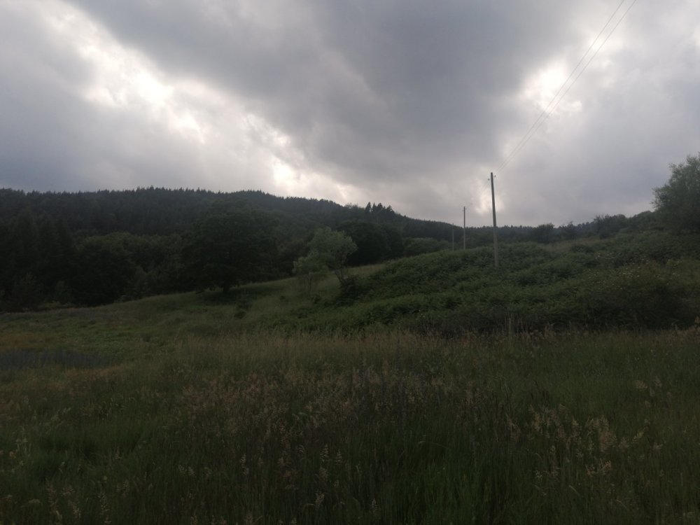 Земеделска земя Босилково