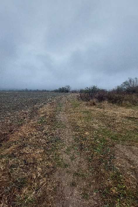 Земеделска земя Соколица