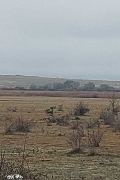 Земеделска земя Соколица