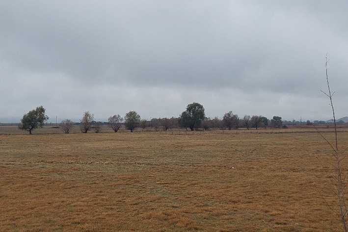 Земеделска земя Соколица